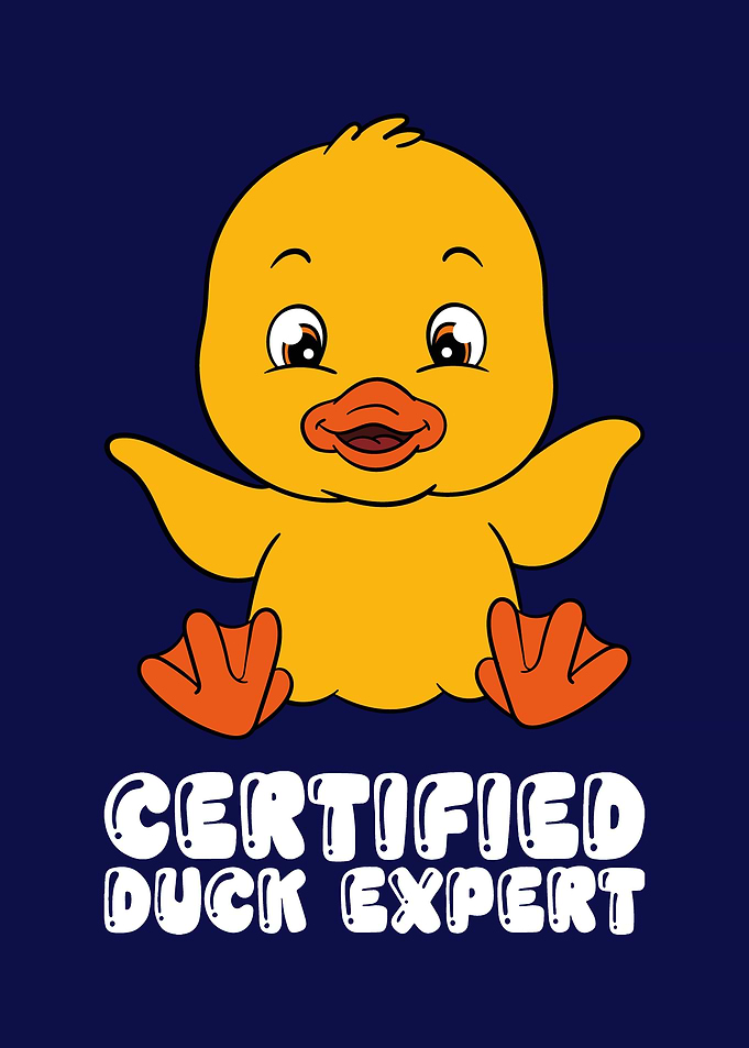 Funny Duck Graphic