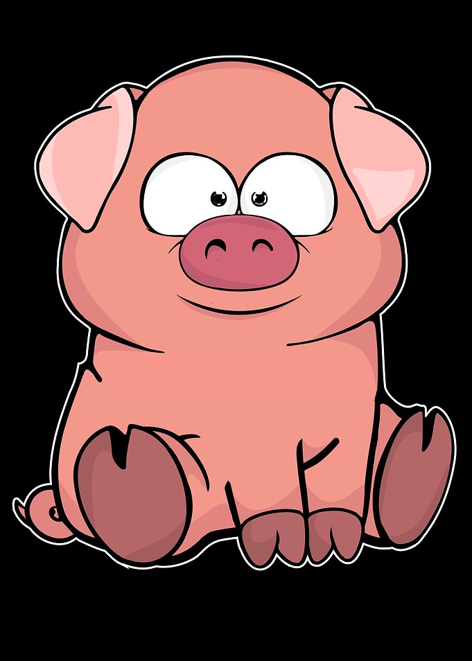 Cute Pig Gift Pig Lover