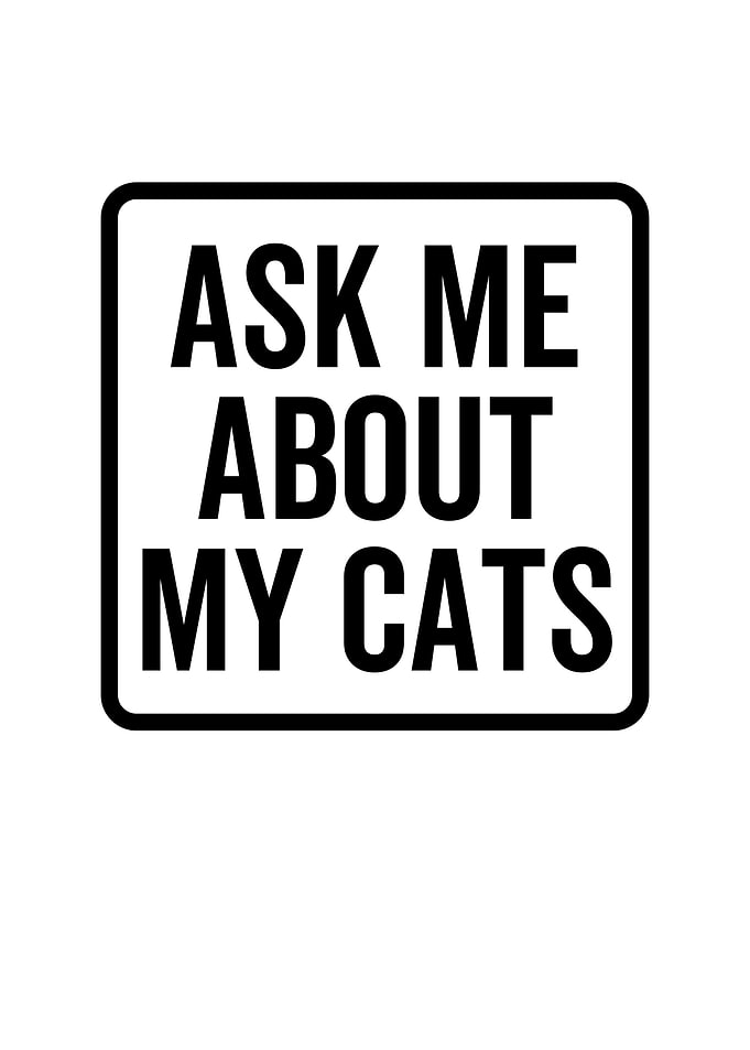 Ask Me About My Cats