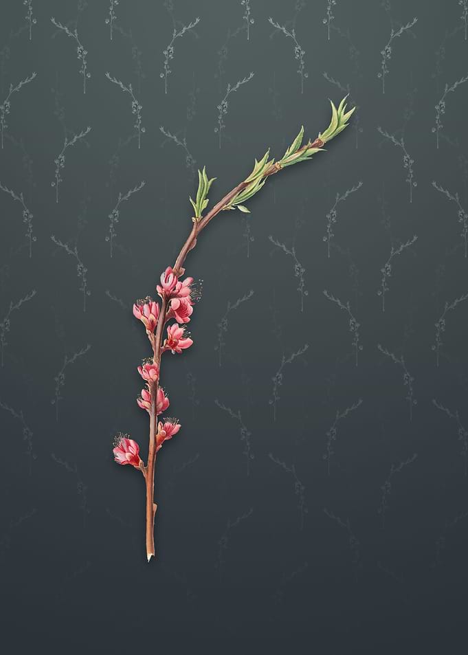 Vintage Peach Blossom