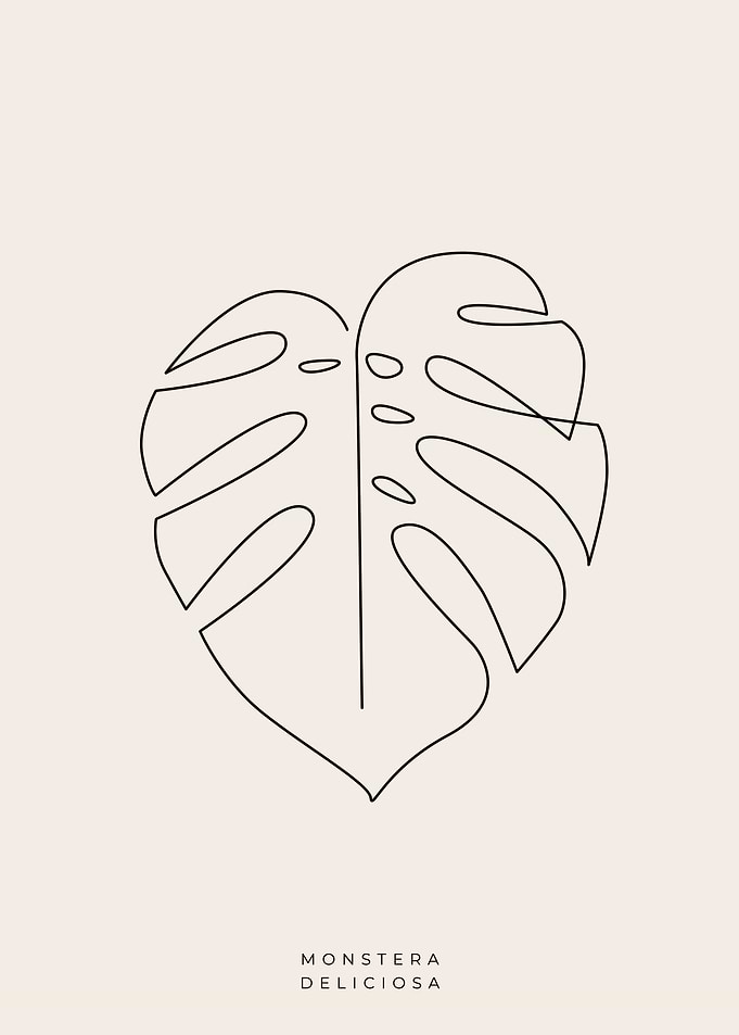 Monstera deliciosa 01