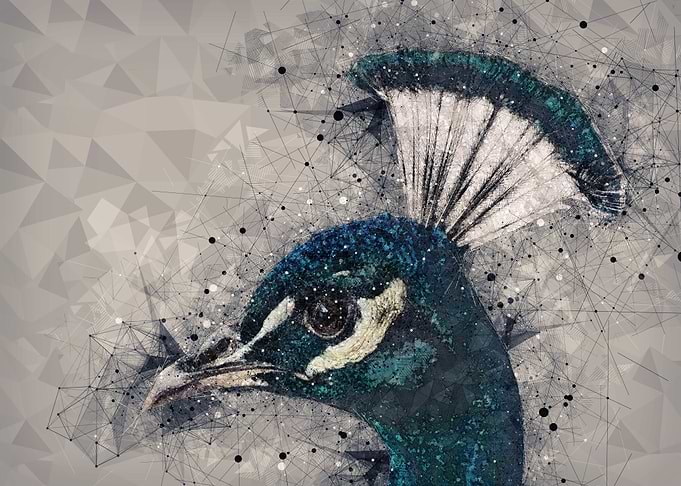 Sacred Bird to Hera