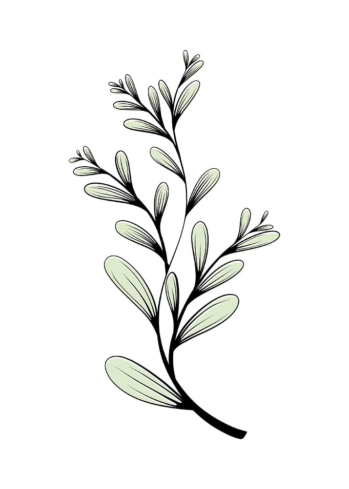 Leaf