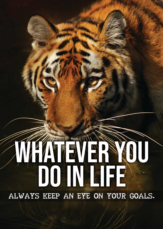 Keep Your Eye On Your Goal