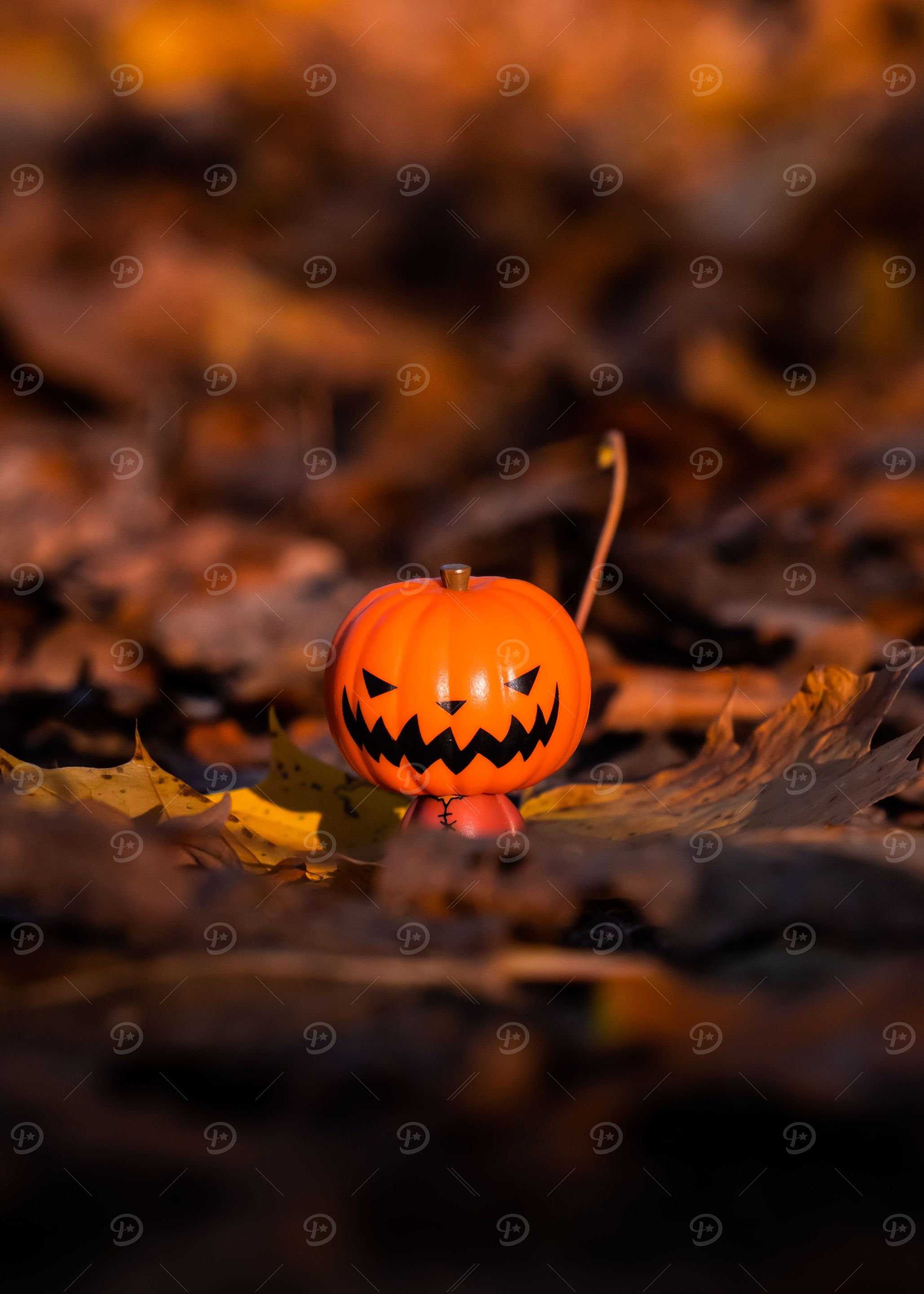 Peek A Boo Tiny Pumpkin