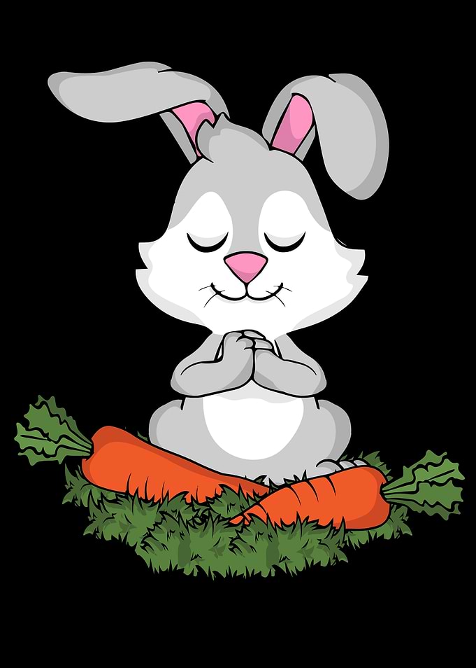 Rabbit Yoga Bunny Meditate