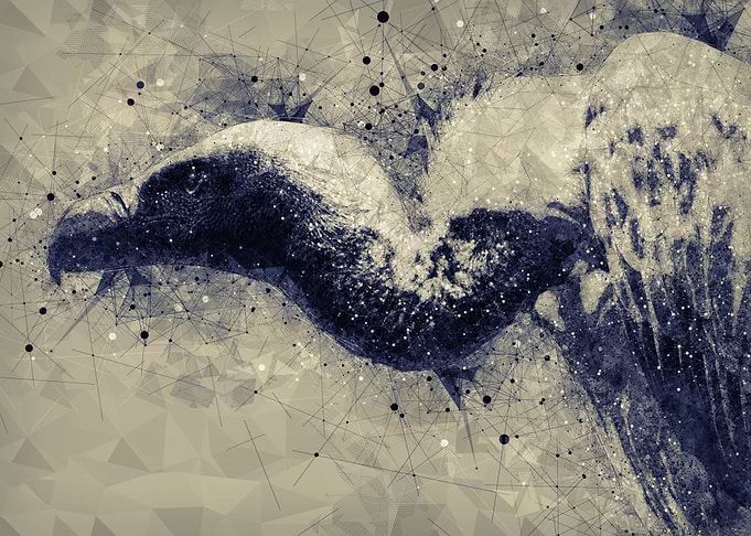 See The Vulture