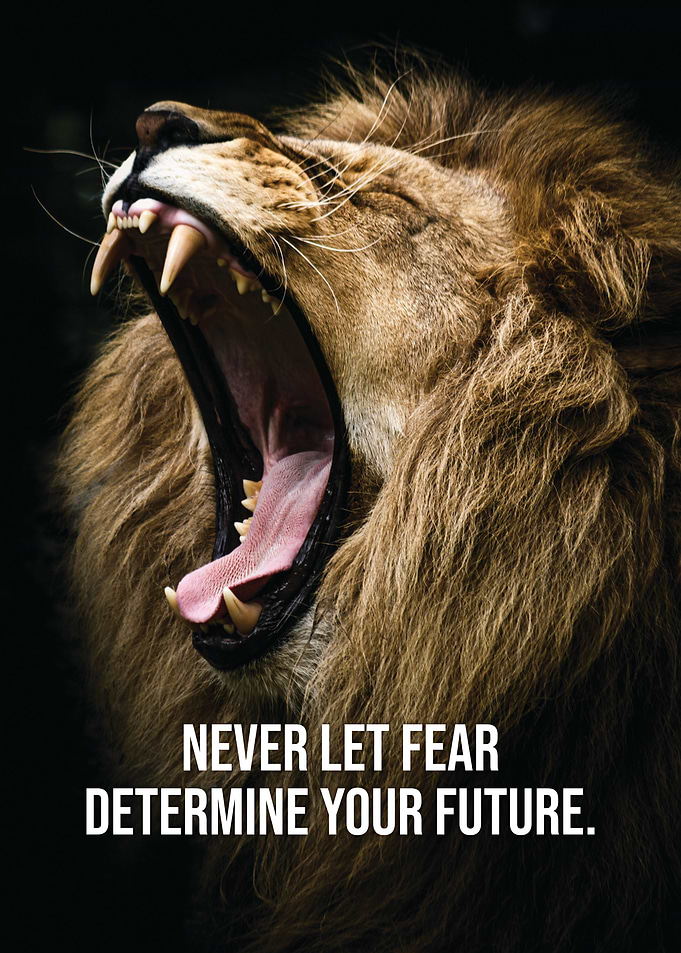 Fear