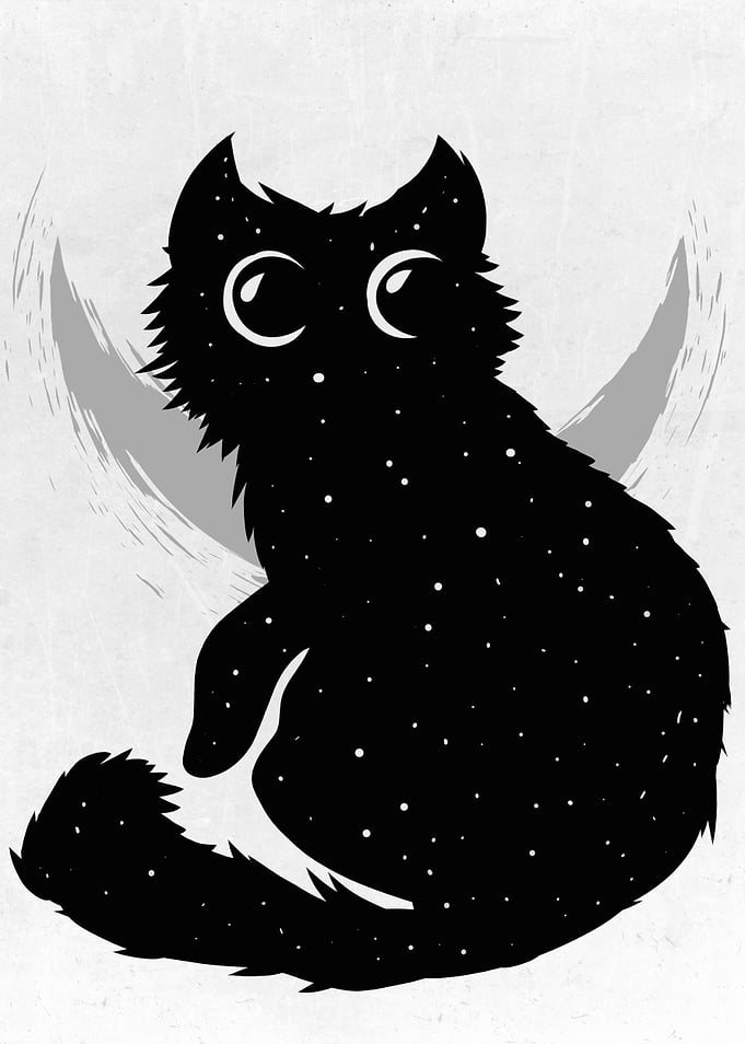 Super Cute Cats