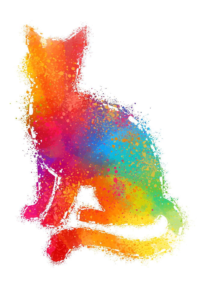 CAT ILLUSTRATION ART