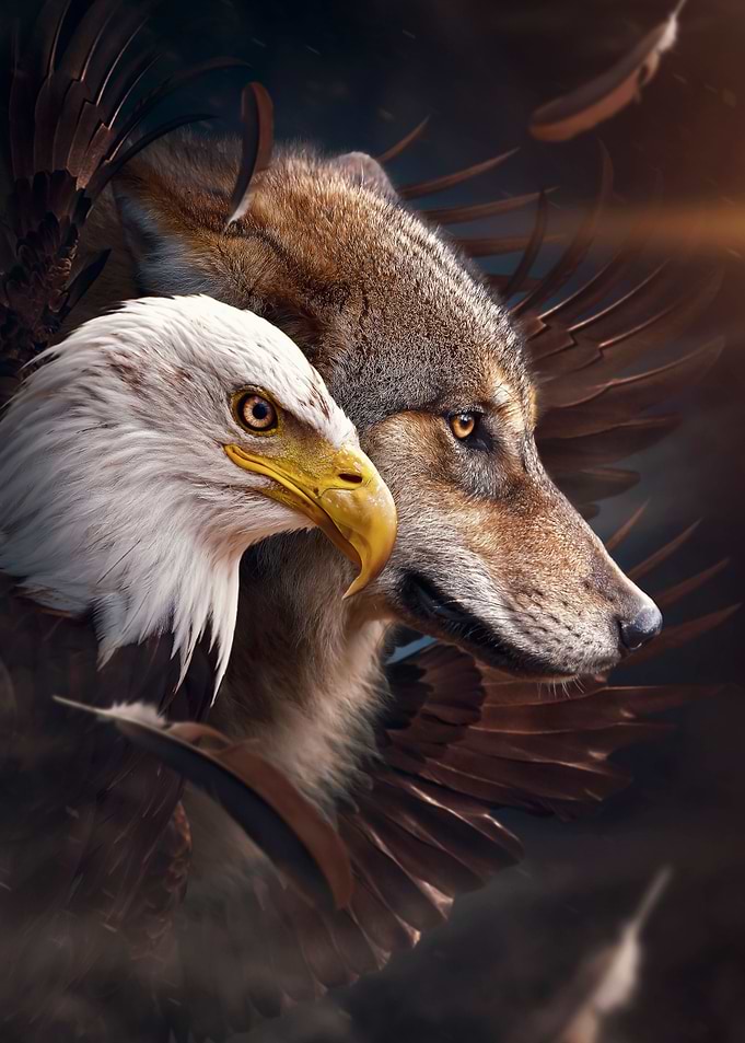 wolf and eagle wild art