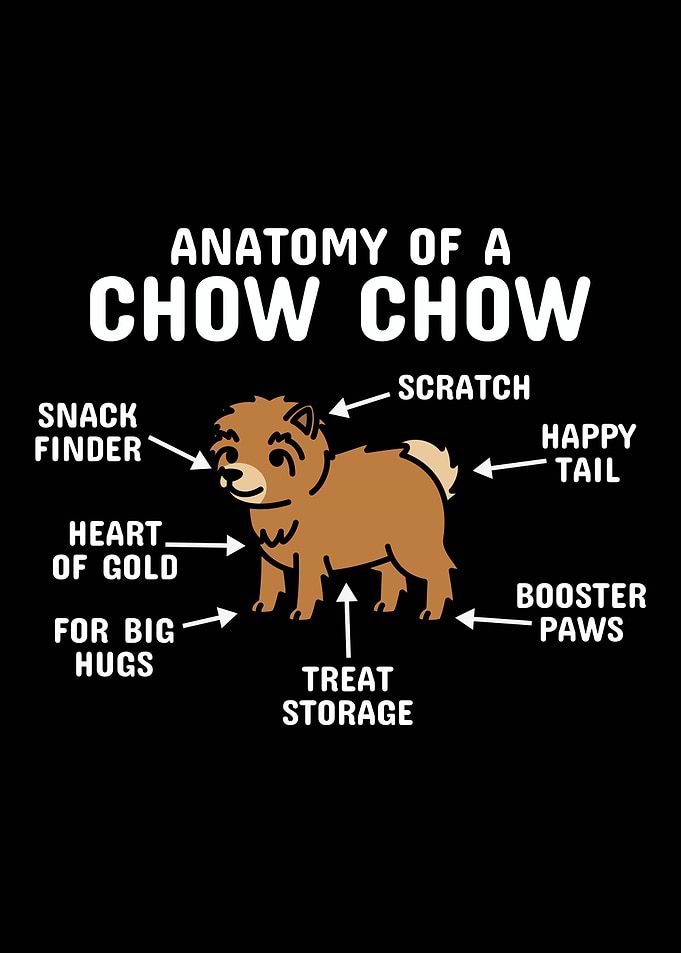 Anatomy Of A Chow Chow