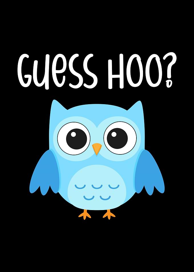 Funny Owl Guess Hoo