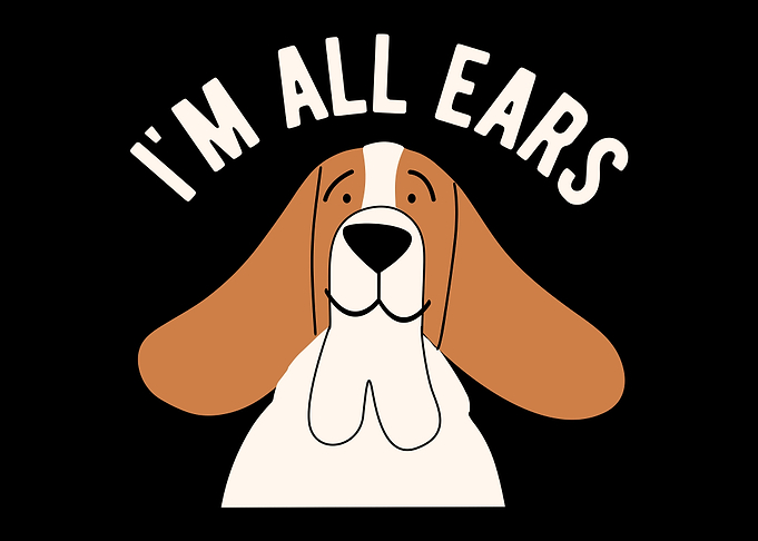 Funny Basset Hound Dog