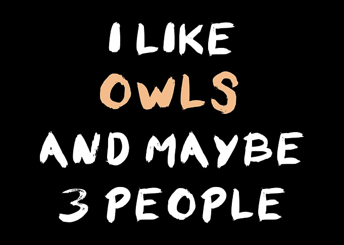 Owls And Maybe 3 People