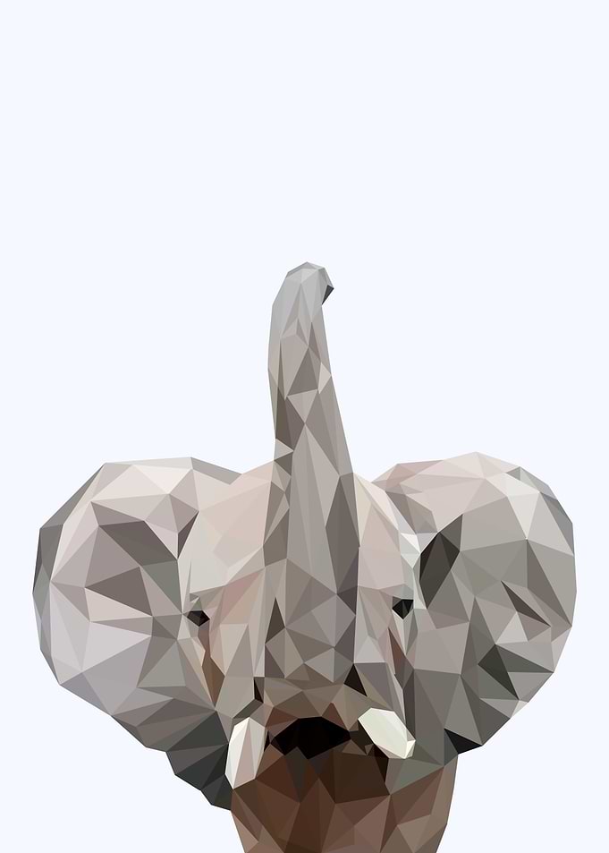 baby elephant