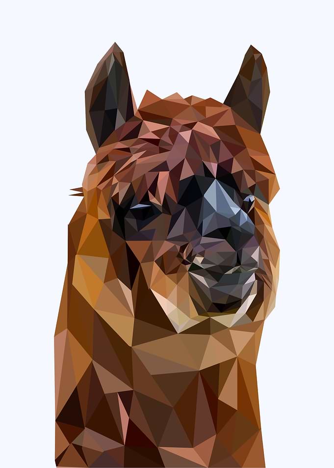 alpaca nursery animal