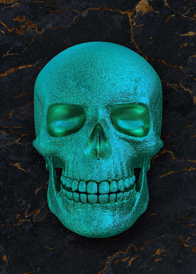 08 3D human skull skeleton
