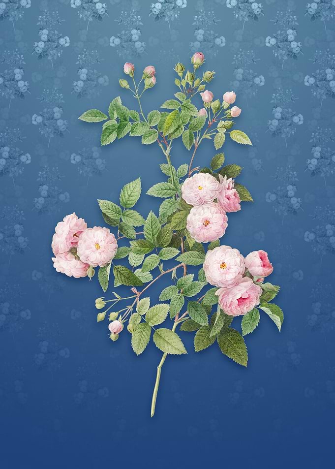 Vintage Pink Baby Roses