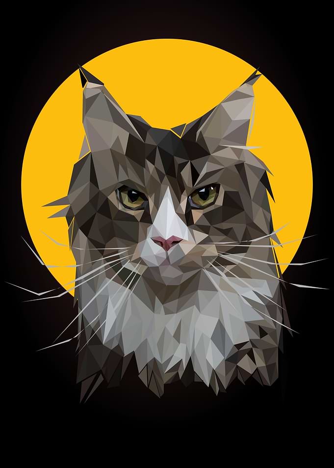 cute cat