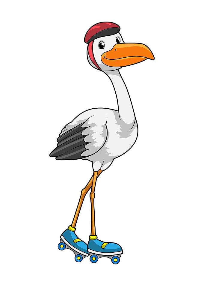Stork Roller skates Sports