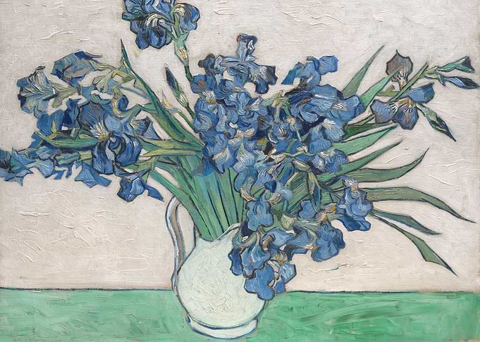Irises by Vincent Van Gogh