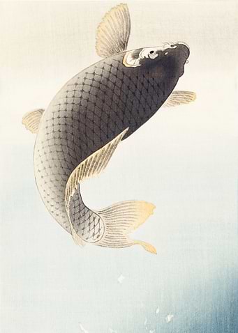 A jumping carp 1900