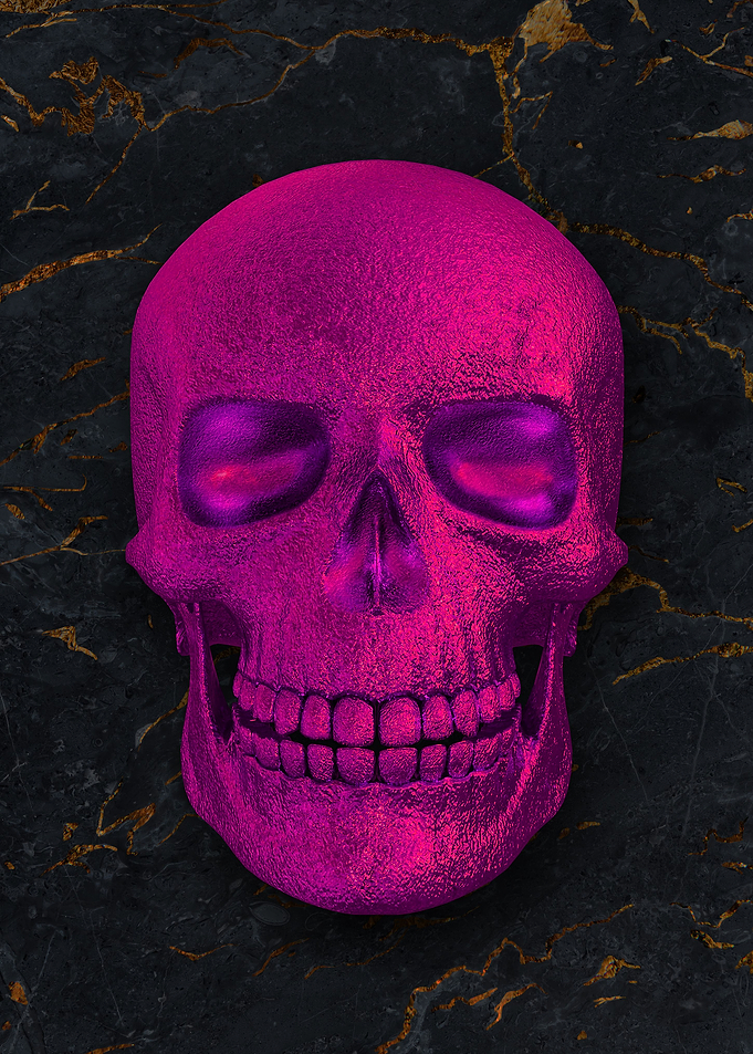 05 3D human skull skeleton