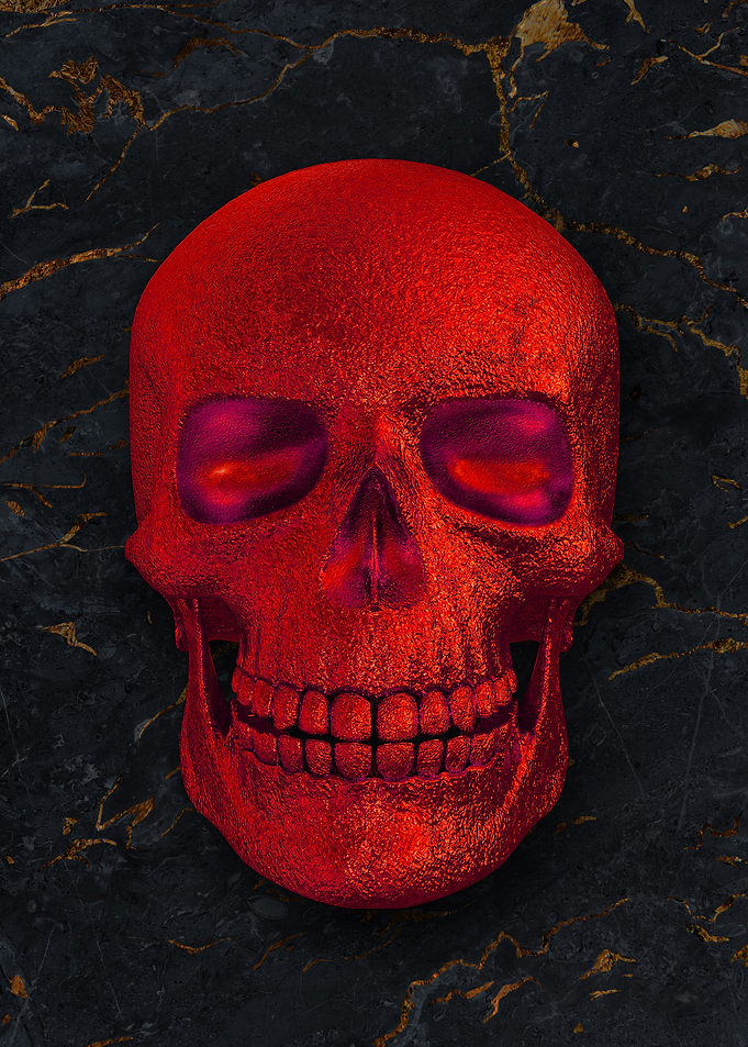 07 3D human skull skeleton