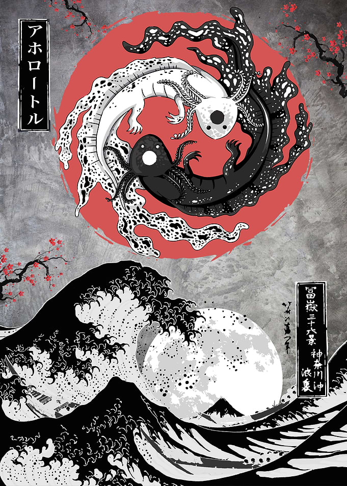 Yin yang balance axolotls
