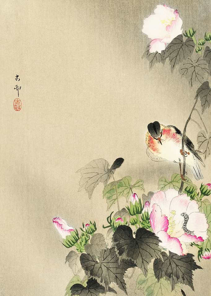 Bird and caterpillar 1900