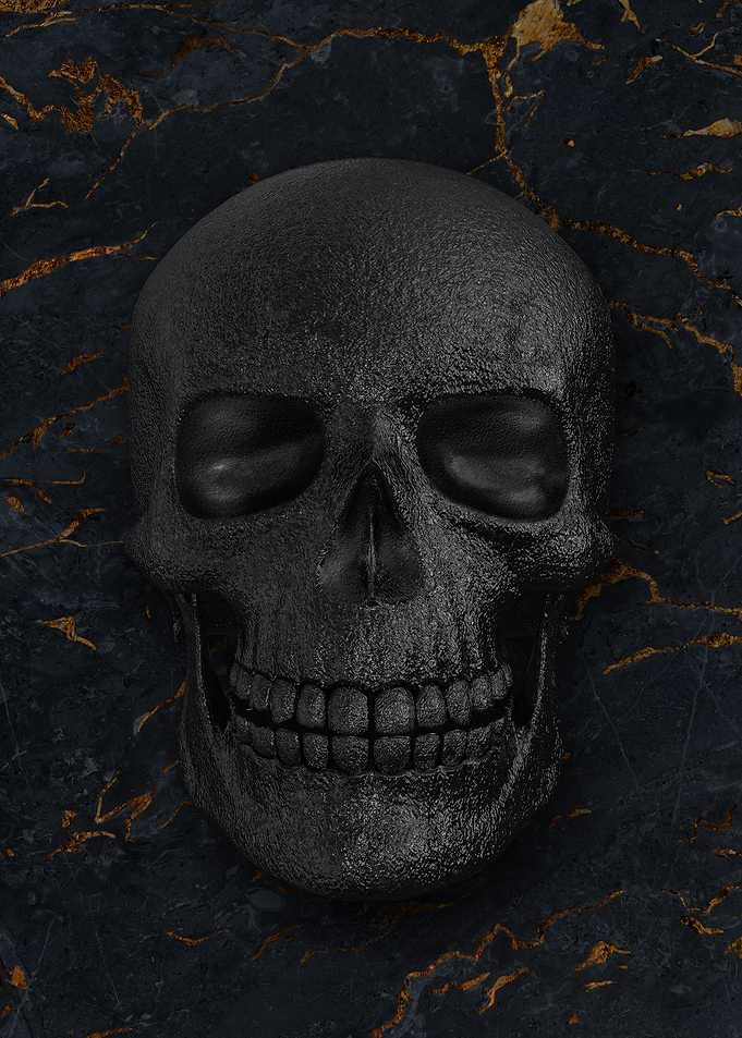 01 3D human skull skeleton