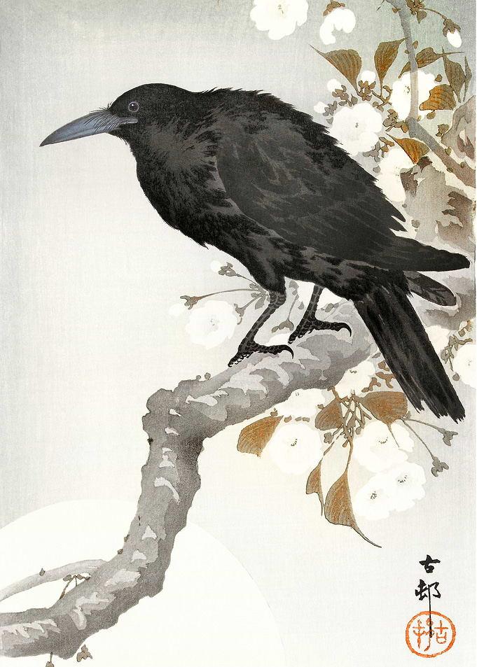A crow and the full moon