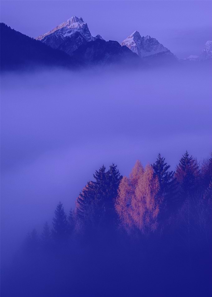 Nature Images
