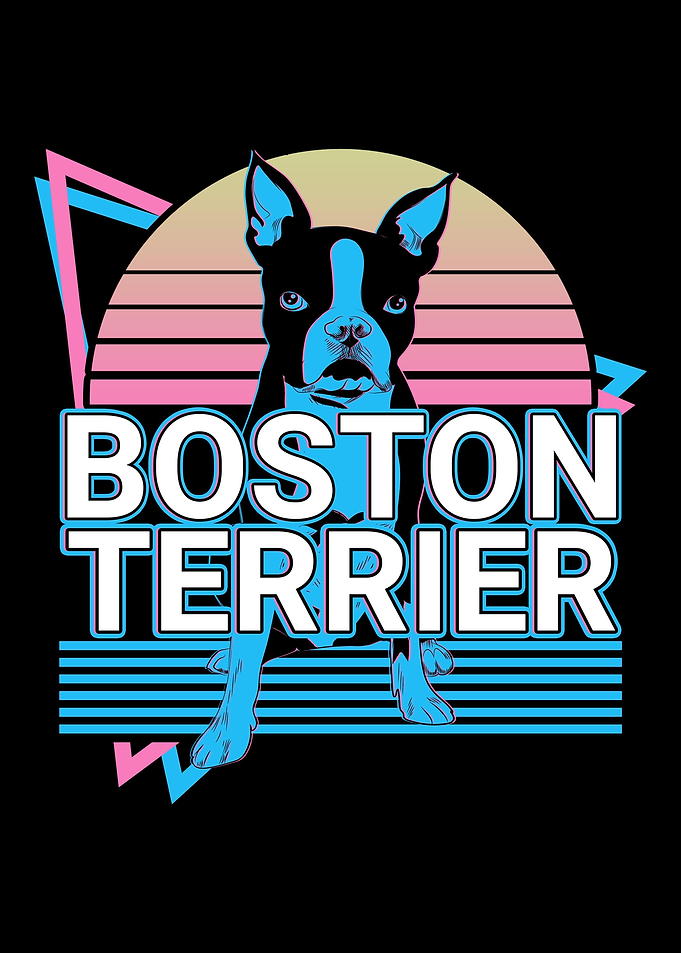 Boston Terrier Retro
