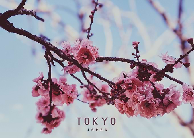 Tokyo