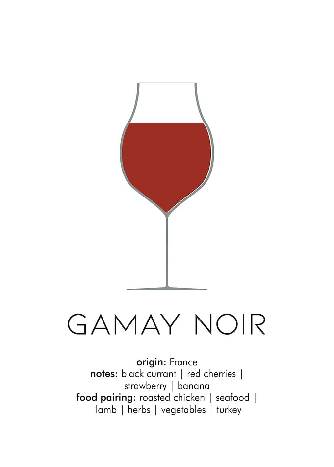 Light Red Gamay Noir