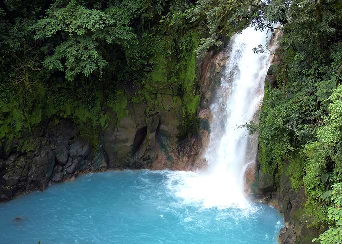 Waterfall in Forest Nature