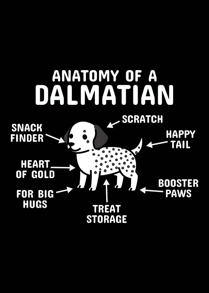 Anatomy Of A Dalmatian