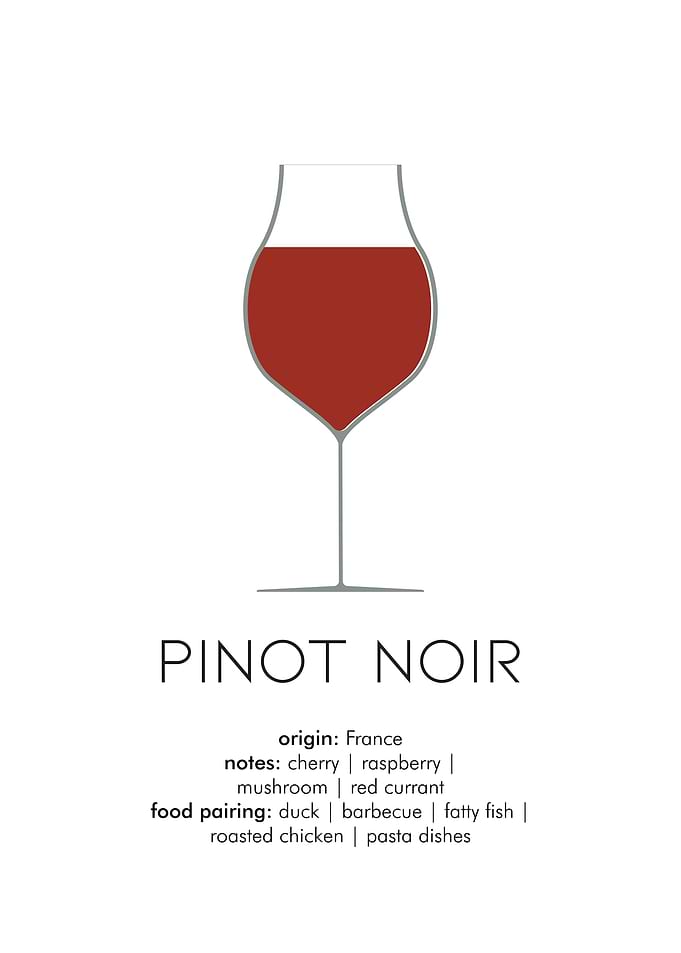 Light Red Lambrusco