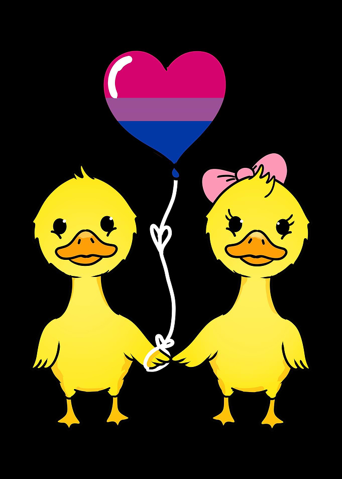 Duck Couple Bi Pride