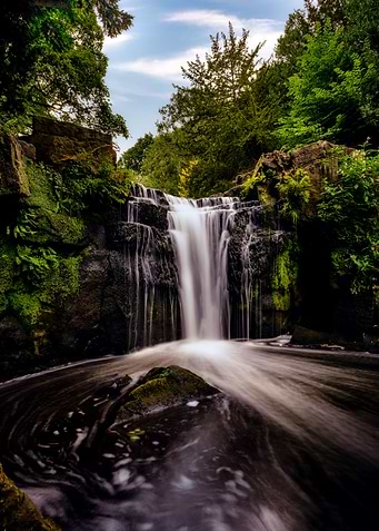 Jesmond Dene