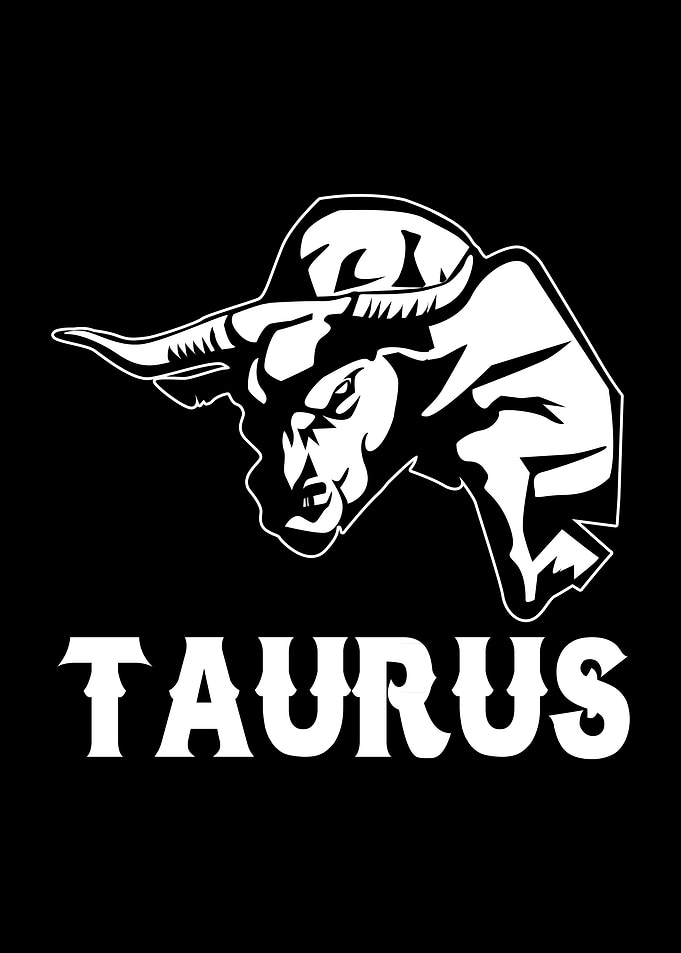 Bull Taurus