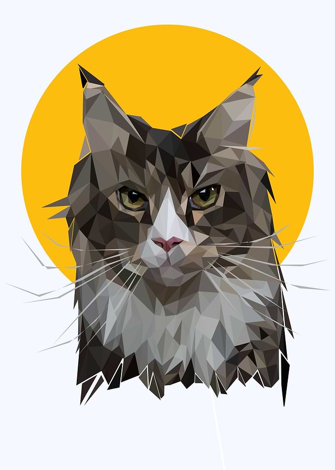 Nusery animal cute cat