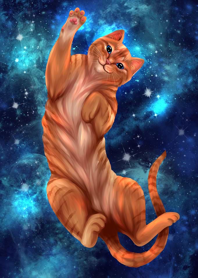 The Space Boi