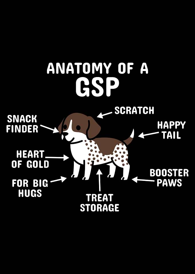 Anatomy Of A Pointer