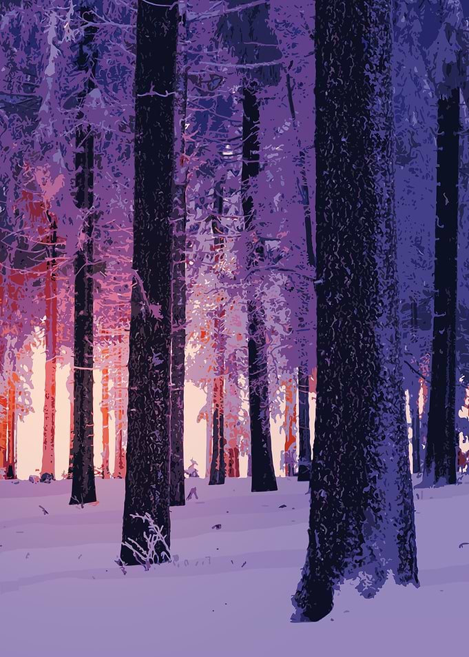 Snowy spruce forest