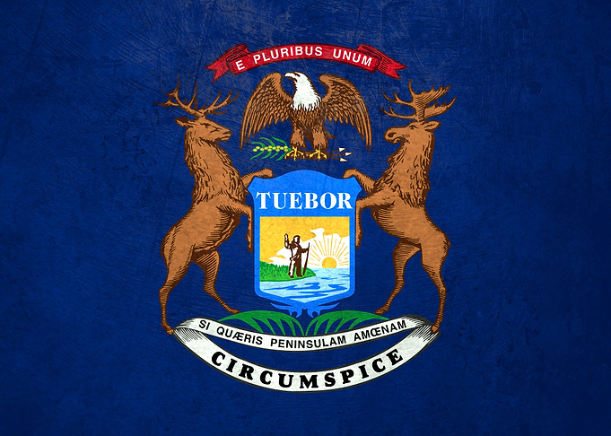 Flag of Michigan on Wall