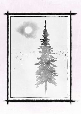 Mountains and Forest
