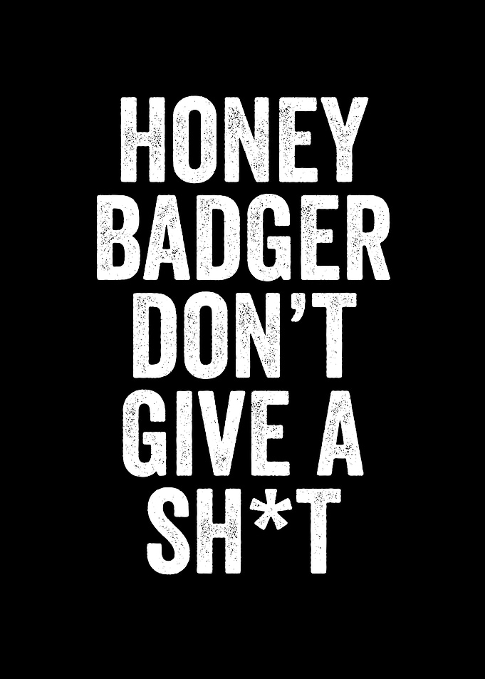 Honey badger dont give a